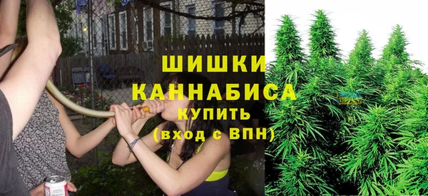 прущий лед Михайлов