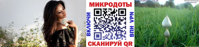 Псилоцибиновые грибы MAGIC MUSHROOMS Купить Ачинск